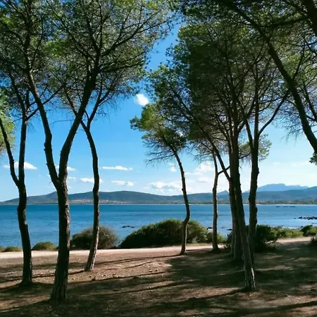 Gli Ulivi Apartment Budoni